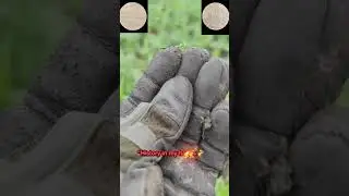 Metal detecting adventure time #metaldetecting #adventure #fypシ゚viral