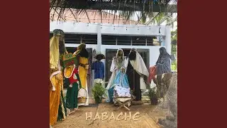 Habache