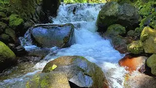ASMR River Sounds at Midday – Relaxing Flowing Water for Deep Calm