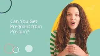 Can You Get Pregnant from Precum? 🤔 Let&rsquo;s Break It Down