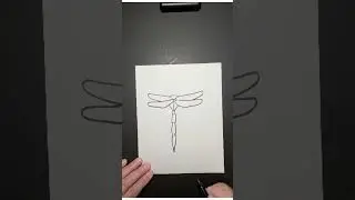 Draw a Dragonfly! #drawing #cartoonart #simpledrawing #art #easydrawing #draw