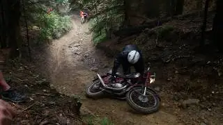 JAWA   race