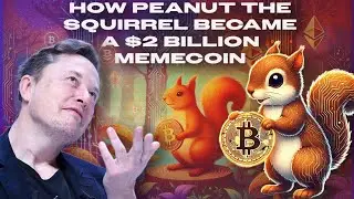 How Elon Musk Made Peanut the Squirrel a $2 Billion Memecoin