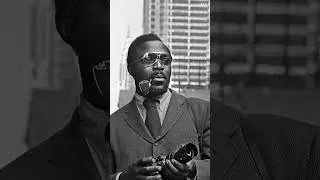 #FallenThroughTheCracks: Black Artists in History - Don Hogan Charles