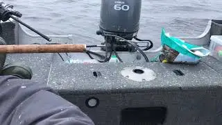 Guided pike fishing in Ireland.