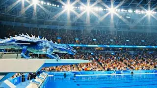 Epic Animal Olympic Dives | Which Animal Wins Gold? 🏆 | Animal Diving Olympics 🏅