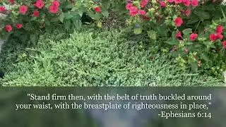 Let Your Actions Speak Your Truth! - Daily Devotional