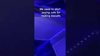 TACO STOP MAKING VIDEOS ON MY PHONE 🙄