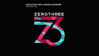 David Tort feat. Danielle Simeone - You Got To (Bob Rage & Peanuke Edit)