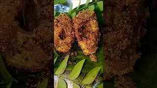 Fish Rava fry Indian recipe❤️ #food #reels #cooking #shortsfeed
