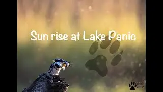 Sunrise at Lake Panic by Raw Wild