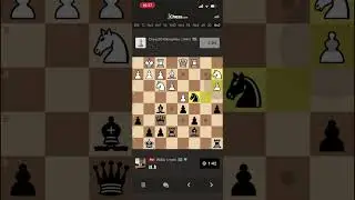 Шахматы. Что такое не везёт и как с этим бороться!)