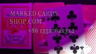 Bee cards marked with invisible ink