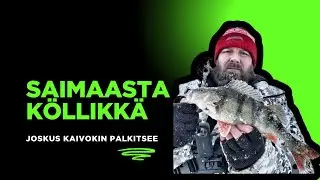 Iso ahven pilkillä  –  toistaiseksi kauden suurin…