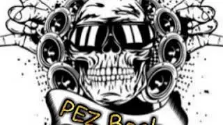 HURRIGANES it aint what you do PEZ ROCK N ROLL