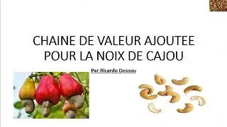 Tout ce que vous devez savoir sur l'anarcade