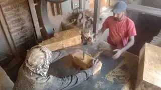 Bahawalpur Timber Market Tree Cutting Factory 🏭