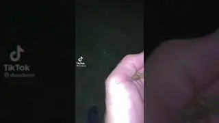 #snakes #run #animals(3)