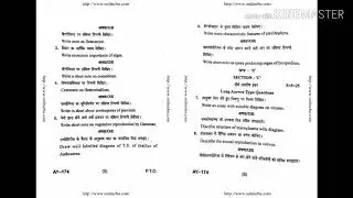 BU Bsc 1st Year Botany Exam Paper 2019