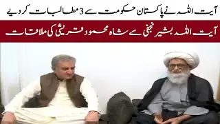 Foreign Minister Shah Mahmood Qureshi Meeting with Ayatollah Bashir Hussain Najafi In Najaf Iraq