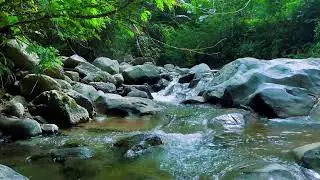 Gentle Trickling Water - 12 hours - No Music