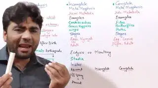 Metamorphosis and Types difference between the complete and incomplete metamorphosis metabola