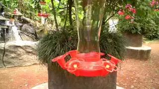 VID00296