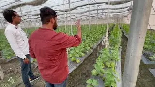 Mini Israel in India | Poly House Farming | FPO |Successful Farmers |   मिनी इजराइल | No. 1 Haryana