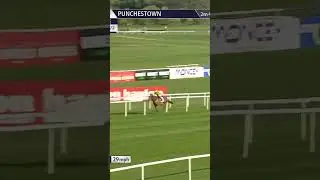 State Man wins a third Punchestown Champion Hurdle as Constitution Hill proves disappointing #sport