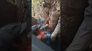 Solo Bushcraft &bull; Making primitiv wooden spoon &bull; Stewed potatoes