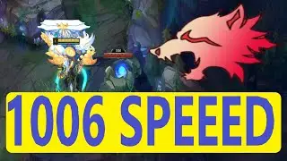 NEW WARWICK JUNGLE S12 - WARWICK PREDATOR BUILD