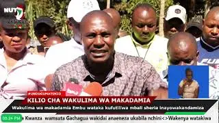 Wakulima wa makadamia Embu wataka kufutiliwa mbali sheria inayowakandamiza