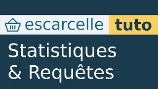 Formation Escarcelle sur l'onglet Stats niveau d&eacute;butant
