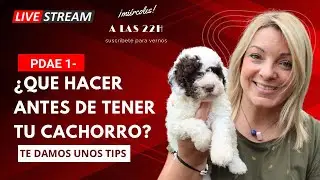 PDAE 1 - &iquest;QUE HACER ANTES DE TENER TU CACHORRO?