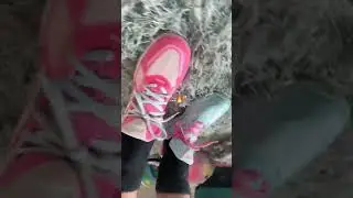 clean volleyball shoes