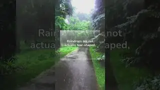 These RAIN FACTS got YOU COVERED | #Rain | #FactGraze | #learneveryway #facts