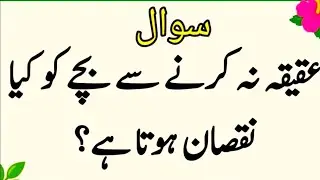 Top Islamic QuestionsAnswers - Islamic Puzzles-Islamic Sawal Jawab-UrduQuiz Islamic Quiz | Gk
