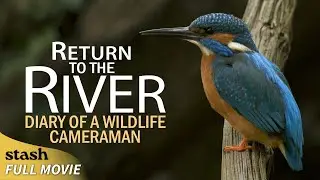 Return to the River: Diary of a Wildlife Cameraman |&nbsp;Documentary | Full Movie | Shy River Creatures