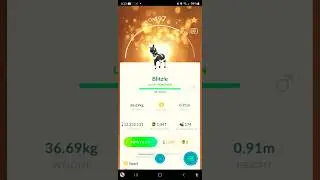 🍀LUCKY Costume Blitzle! Pokemon Go! #pokemon #pokemongo #pok&eacute;mongo