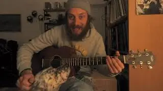 Gipsy Valtz - chitarra ritmica dello zingaro