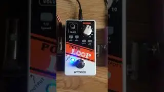 Pock Loop Pedal Looper Guitar Pedal