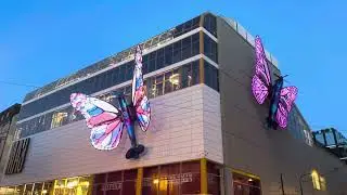 Prague 7/2024 N&aacute;rodn&iacute; Street and the new butterflies above Tesco #prague #narodni #tesco #butterfly
