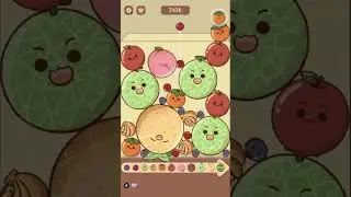 Live Game Watermelon Merge Fruit #anomali #shorts