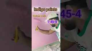 Indigo paints colour code 1454🖌️Indigo paints🖌️#youtubeshorts #shortsfeed #trending #indigo #colors