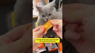 Review combo tẩy giun & trị ve si&ecirc;u hời, sen n&agrave;o cũng m&ecirc;! ✨ #notapetvn #fyp #pet #cat #cute