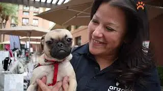 The Arizona Humane Society&rsquo;s 24th Annual Compassion with Fashion Event