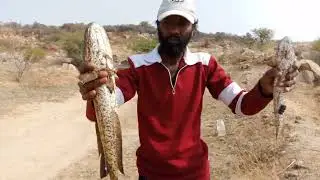 BIG Snakehead Fish Attack Back to Back in Fahad Fishing?