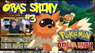 DEXNAV Sneaking Shiny Chain | SHINY ZIGZAGOON #3 ROAD TO 100 | Omega Ruby Alpha Sapphire