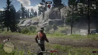 Red Dead Redemption 2 Online Battle Royal, Make It Count, 8 Kill