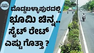 ದೊಡ್ಡಬಳ್ಳಾಪುರದಲ್ಲಿ ಸೈಟ್, ಮನೆ ಖರೀದಿಸಿದ್ರೆ ನಿಮಗೆಷ್ಟು ಲಾಭ? | Doddaballapura | Site | Residential Plots